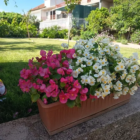 Lucija Solaris * Šibenik