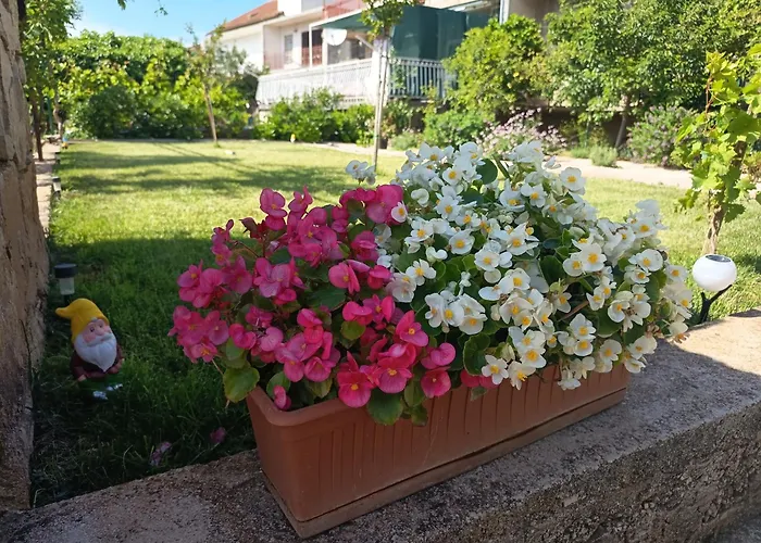 Lucija Solaris * Šibenik